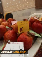 جشن شب یلدا 4