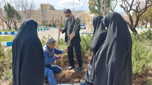 photo_2024-04-02_01-51-19