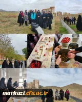 پیاده روی همگانی و سرو صبحانه سالم 2