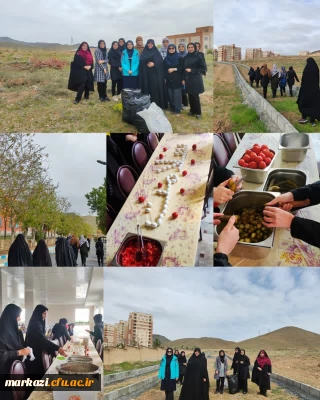  به همت پردیس حضرت زینب کبری (س) انجام شد :

پیاده روی همگانی و سرو صبحانه سالم