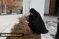 برگزاری مراسم روز درختکاری در پردیس حضرت زینب کبری (س) 2