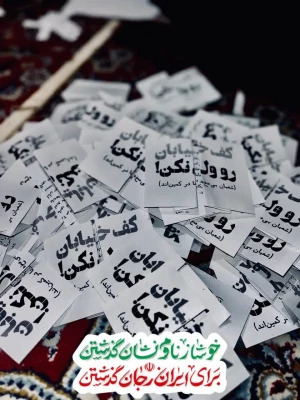 دانشجومعلمان انقلابی، پرشور و با صلابت در میدان به جهاد تبیین می پردازند. 4