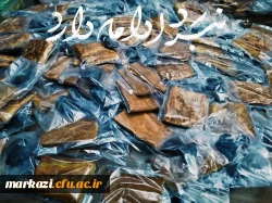 دانشجومعلمان انقلابی، پرشور و با صلابت در میدان به جهاد تبیین می پردازند. 22