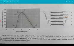 ویدیو2 استاد اسماعیلی