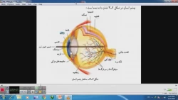ویدیو 1 عفت مهری