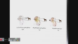 ویدیو 2 عفت مهری