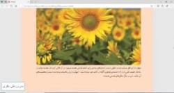 اندازه گیری