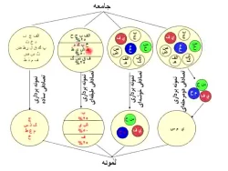 نمونه گیری خوشه ای