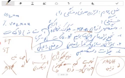 انرژی مصرفی و خستگی استاد اسماعیلی