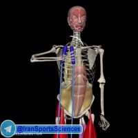 زهرا اسکندری فیلم1