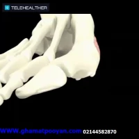 زهرا اسکندری فیلم2