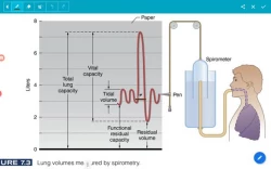 ویدیو دستگاه تنفسی و کنترل آن 1 اسماعیلی