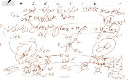 ویدیو دستگاه تنفسی و کنترل آن 2 اسماعیلی